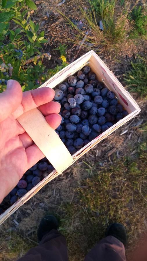 E Berry Farm - Slow Life Kaluzna 外观 照片