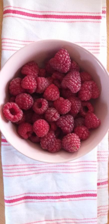 E Berry Farm - Slow Life Kaluzna 外观 照片