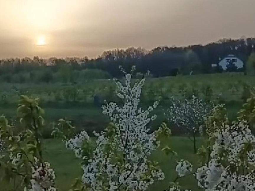 E Berry Farm - Slow Life Kaluzna 外观 照片